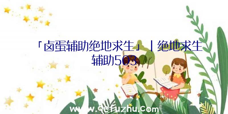 「卤蛋辅助绝地求生」|绝地求生辅助503
